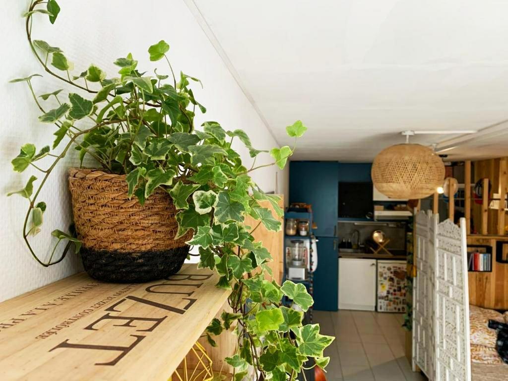 Studio Avec Terrasse Tout Pres Du Vieux Port La Rochelle  Exterior foto